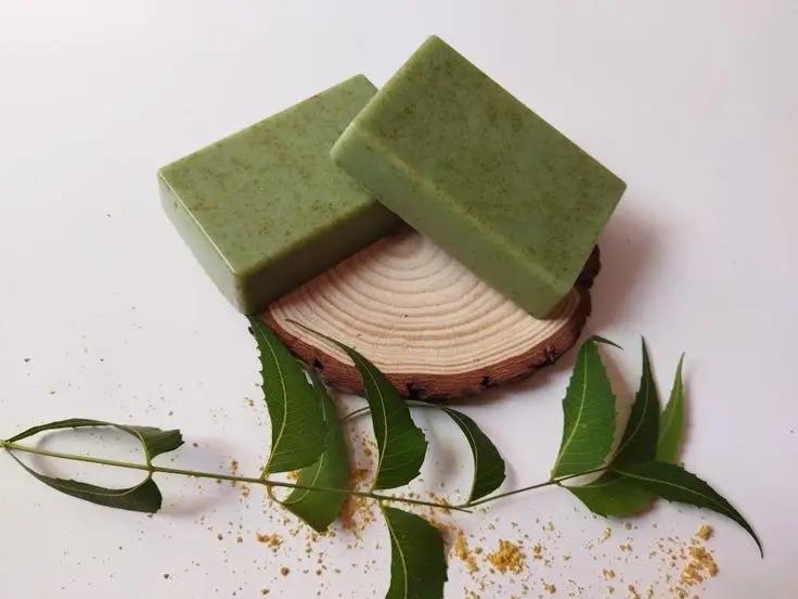 Best neem soap manufacturers in india